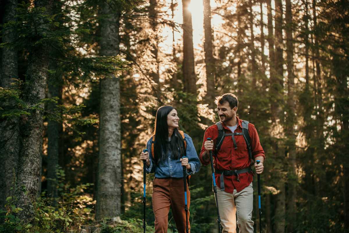 Rewilding as a Wellness Practice